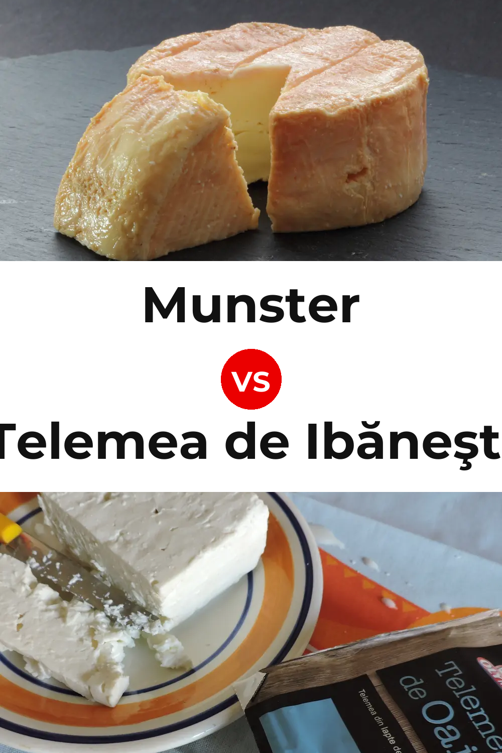 Munster Cheese vs Telemea de Ibăneşti Cheese Pinterest comparison