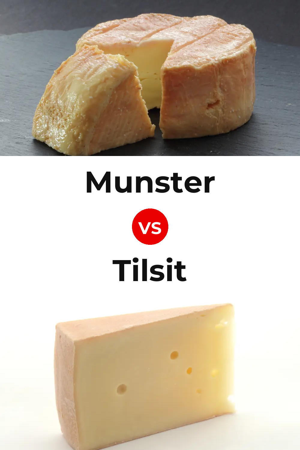 Munster Cheese vs Tilsit Cheese Pinterest comparison