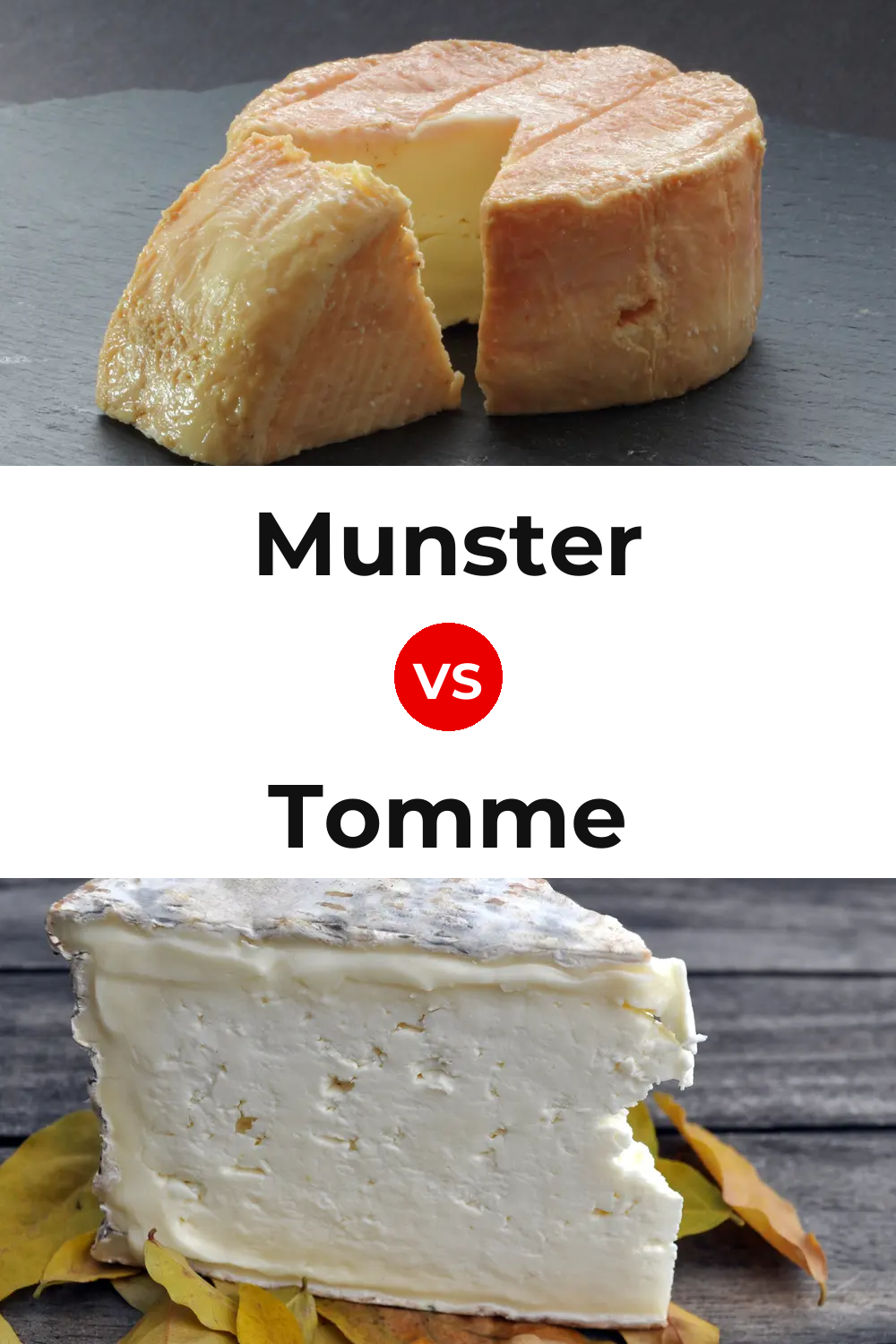 Munster Cheese vs Tomme Cheese Pinterest comparison