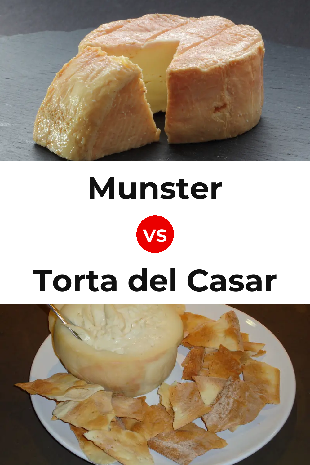 Munster Cheese vs Torta del Casar Cheese Pinterest comparison