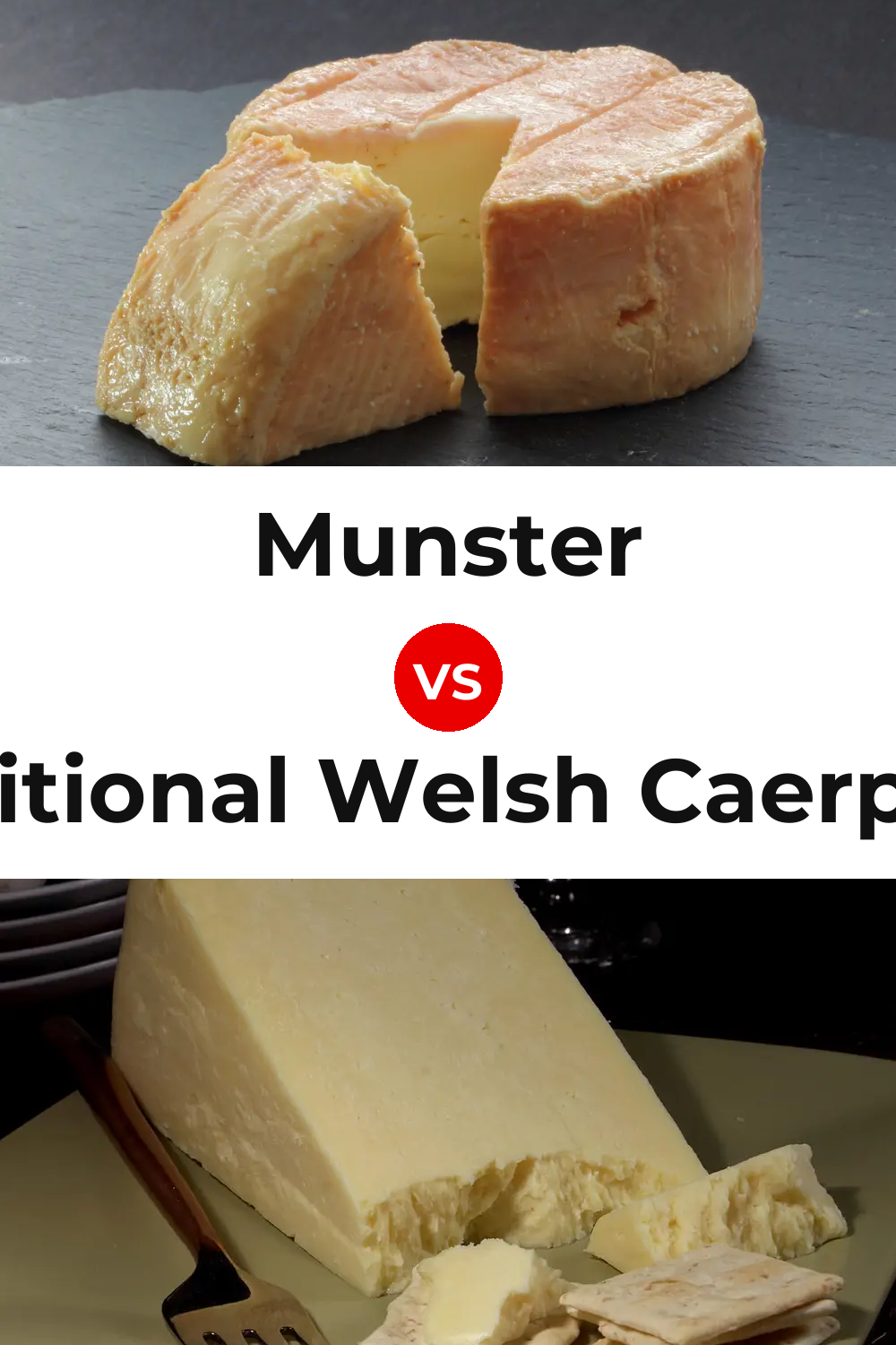 Munster Cheese vs Traditional Welsh Caerphilly Cheese Pinterest comparison