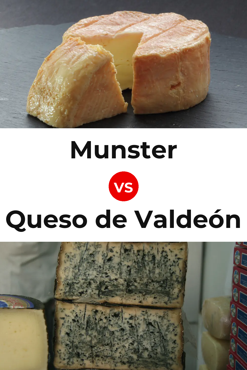 Munster Cheese vs Queso de Valdeón Pinterest comparison