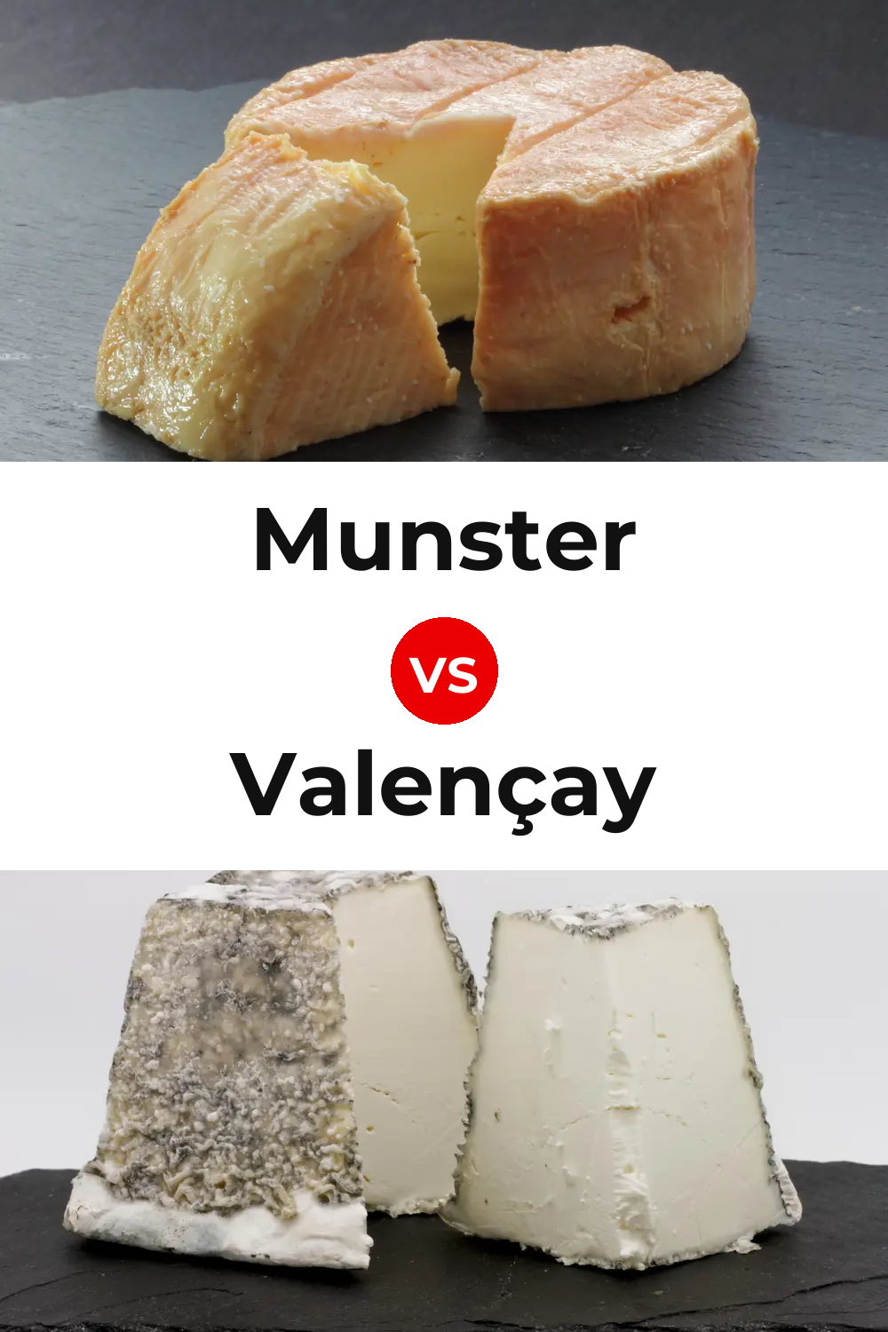 Munster Cheese vs Valençay Cheese Pinterest comparison