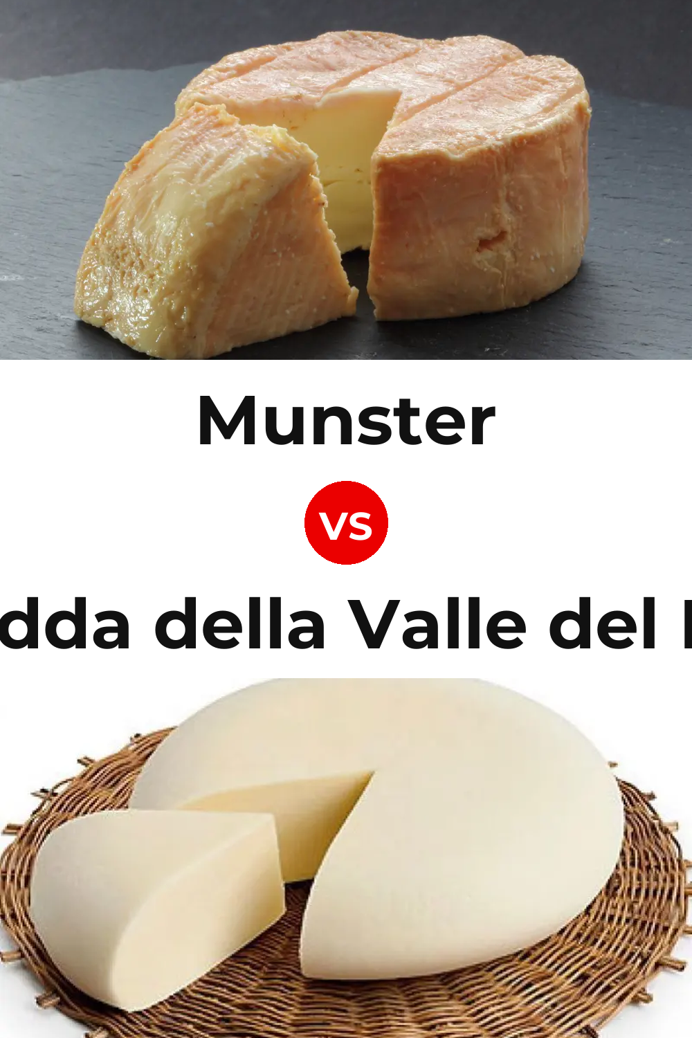 Munster Cheese vs Vastedda della Valle del Belice Cheese Pinterest comparison