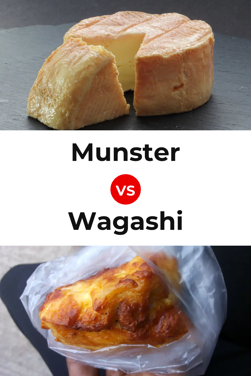 Munster Cheese vs Wagashi Cheese Pinterest comparison