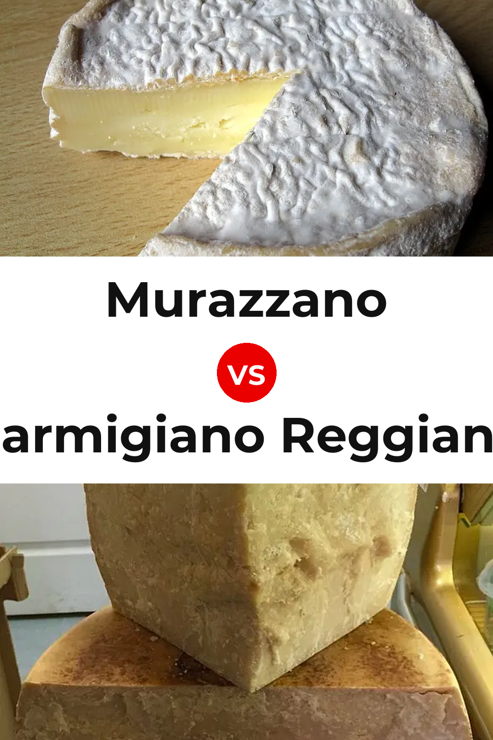 Murazzano Cheese vs Parmigiano Reggiano Cheese Pinterest comparison