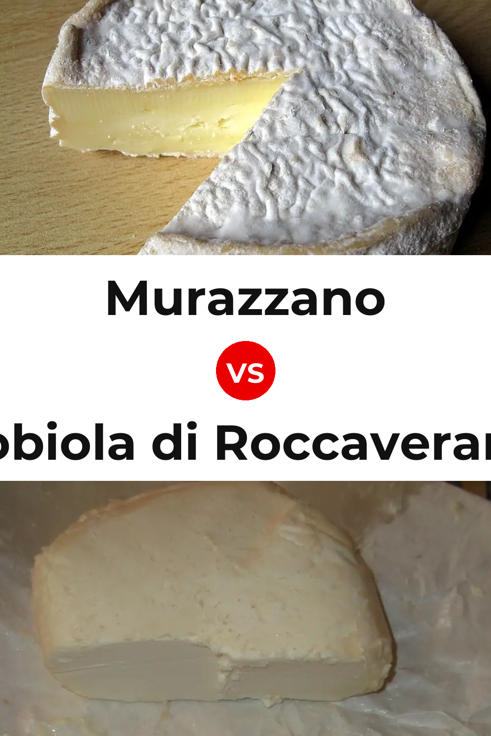 Murazzano Cheese vs Robiola di Roccaverano Cheese Pinterest comparison