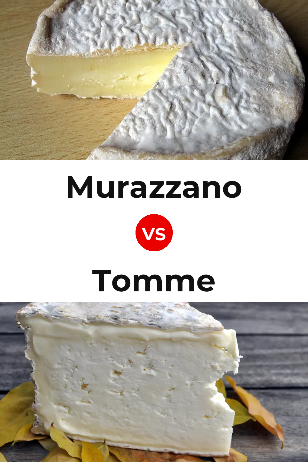 Murazzano Cheese vs Tomme Cheese Pinterest comparison