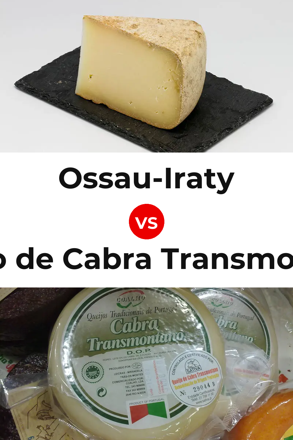 Ossau-Iraty Cheese vs Queijo de Cabra Transmontano Pinterest comparison