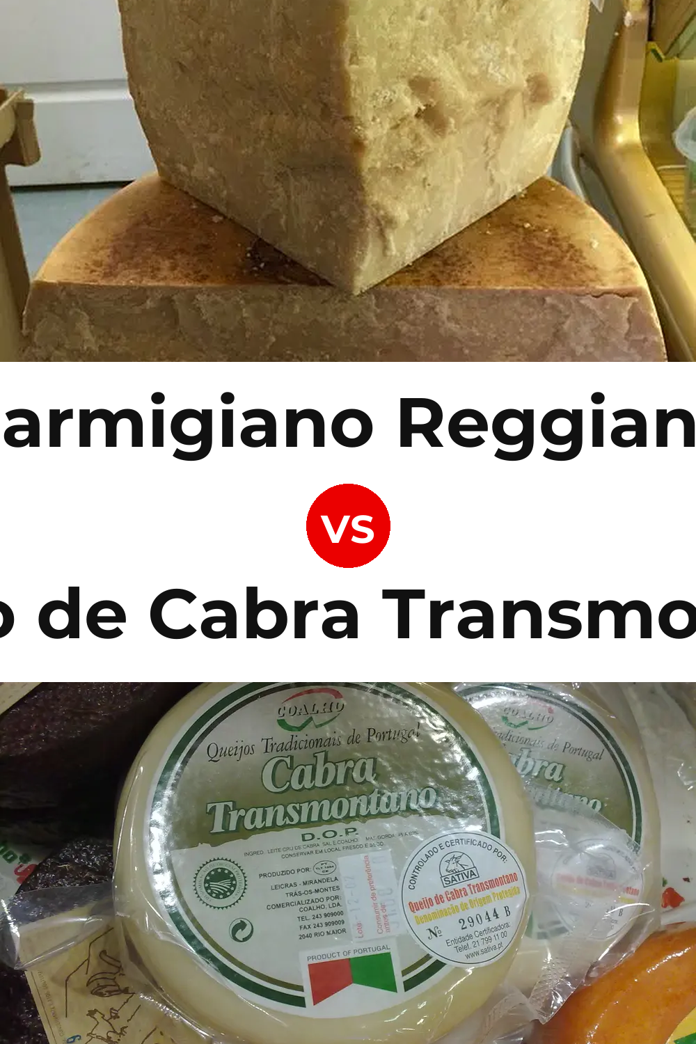 Parmigiano Reggiano Cheese vs Queijo de Cabra Transmontano Pinterest comparison