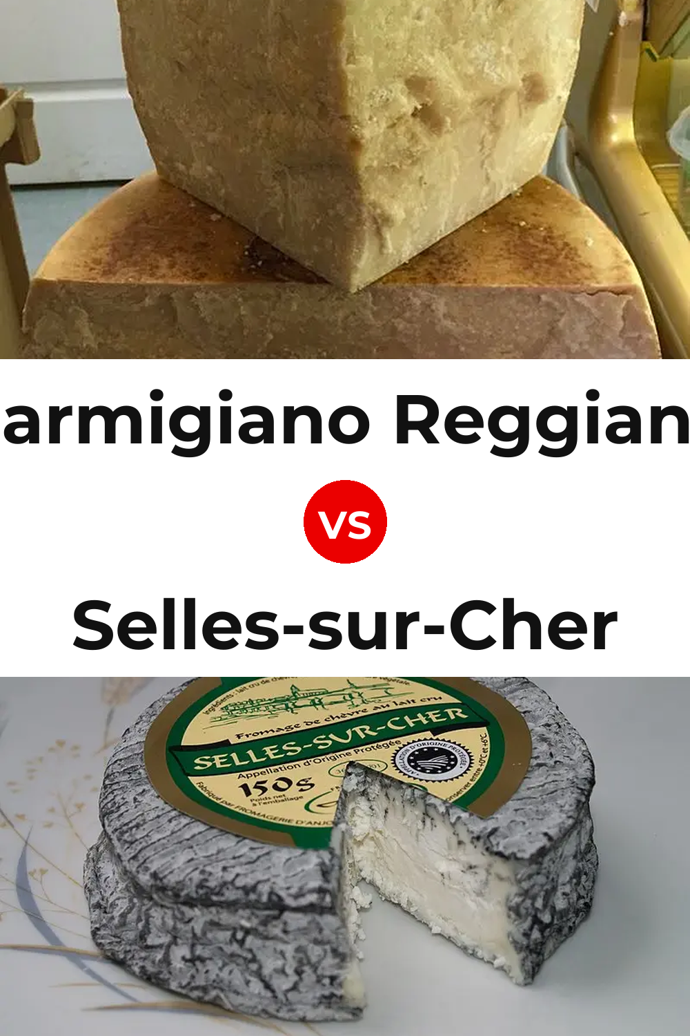Parmigiano Reggiano Cheese vs Selles-sur-Cher Cheese Pinterest comparison