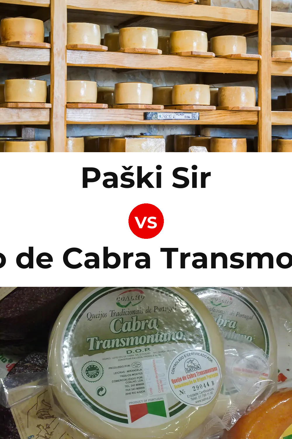 Paški Sir Cheese vs Queijo de Cabra Transmontano Pinterest comparison