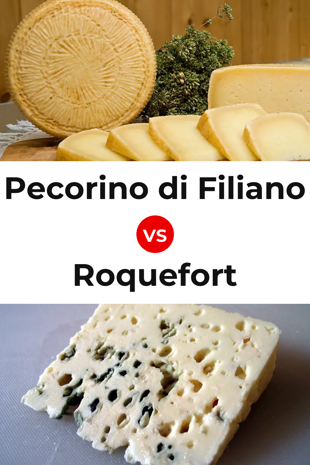 Pecorino di Filiano Cheese vs Roquefort Cheese Pinterest comparison