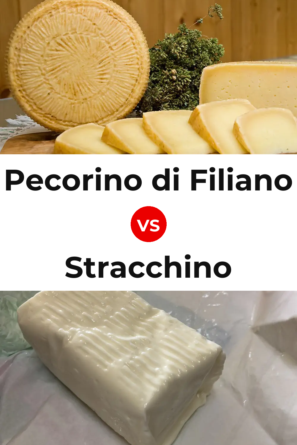 Pecorino di Filiano Cheese vs Stracchino Cheese Pinterest comparison