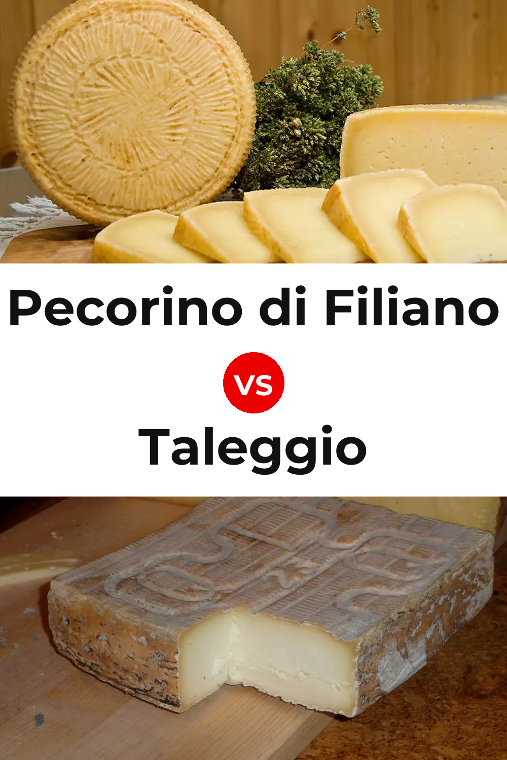 Pecorino di Filiano Cheese vs Taleggio Cheese Pinterest comparison