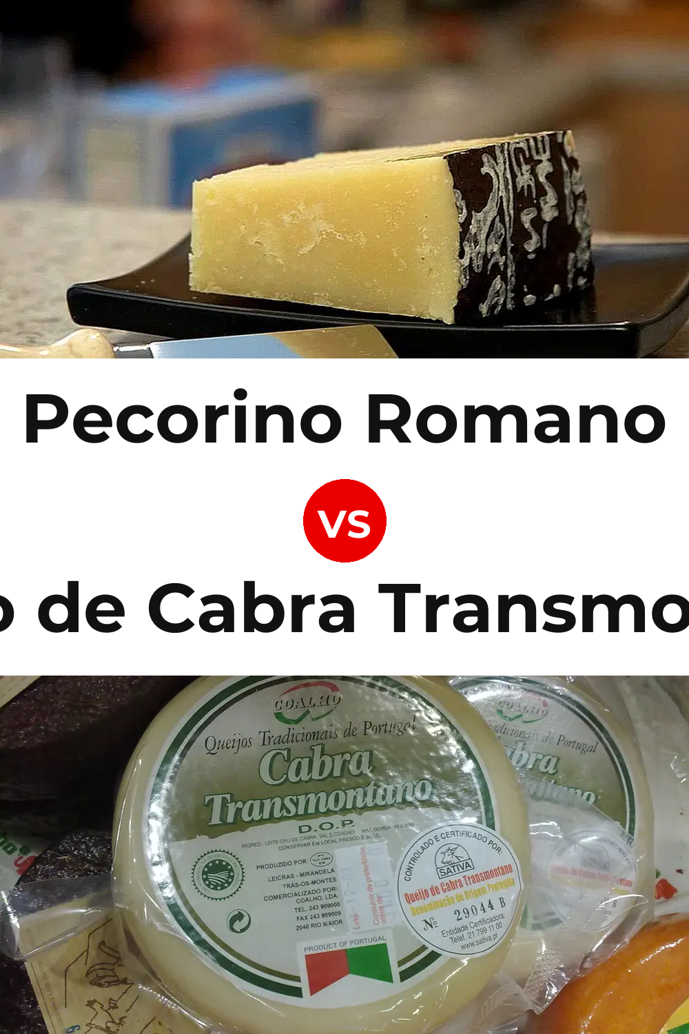 Pecorino Romano Cheese vs Queijo de Cabra Transmontano Pinterest comparison