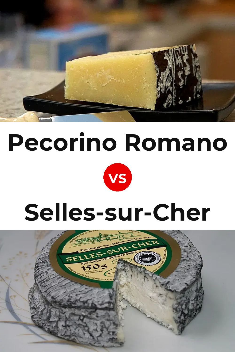 Pecorino Romano Cheese vs Selles-sur-Cher Cheese Pinterest comparison