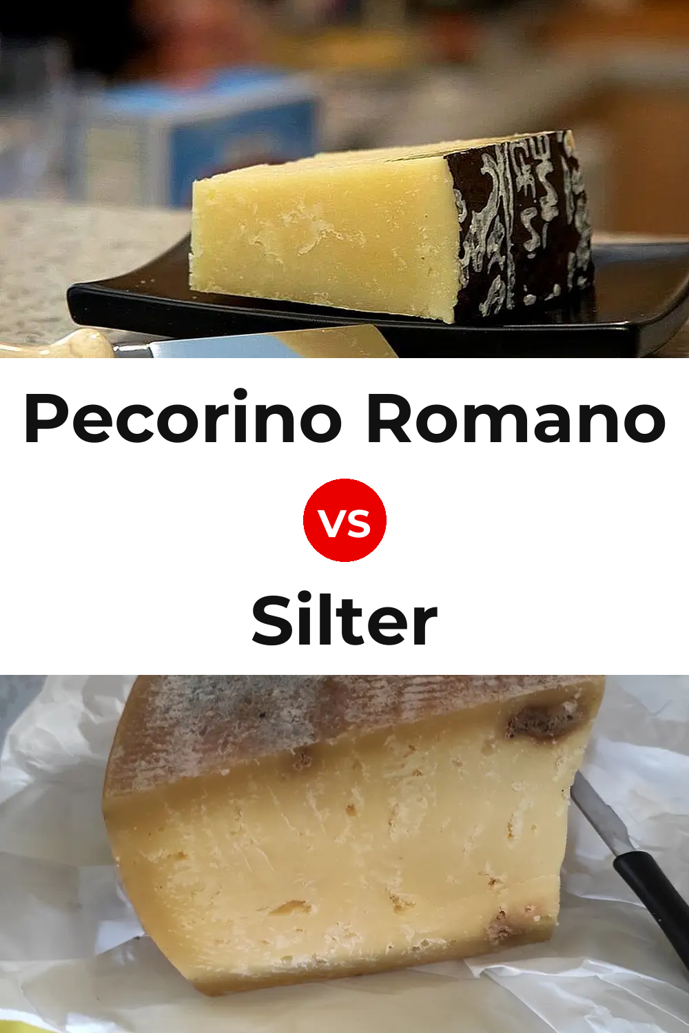 Pecorino Romano Cheese vs Silter Cheese Pinterest comparison