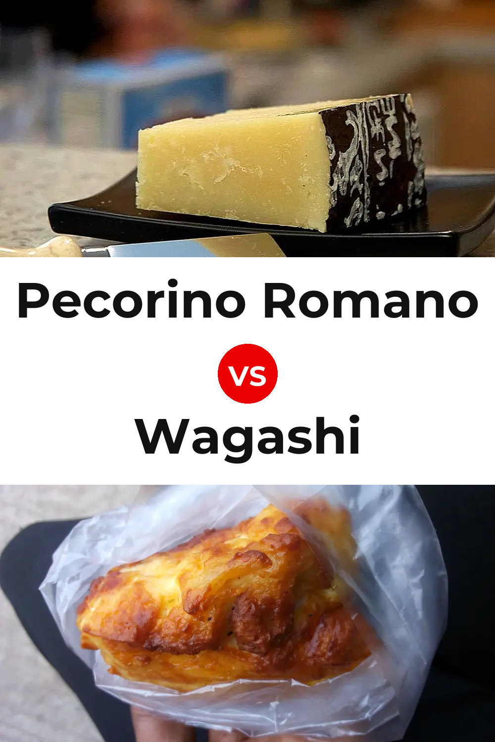 Pecorino Romano Cheese vs Wagashi Cheese Pinterest comparison