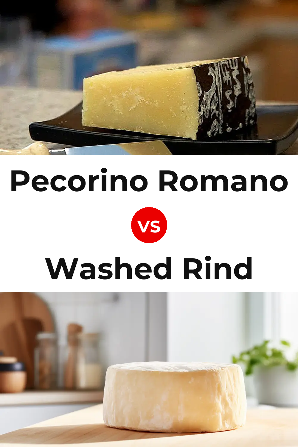 Pecorino Romano Cheese vs Washed Rind Cheese Pinterest comparison