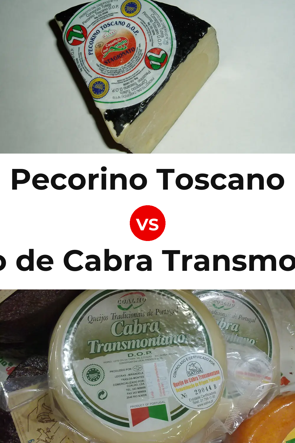 Pecorino Toscano Cheese vs Queijo de Cabra Transmontano Pinterest comparison