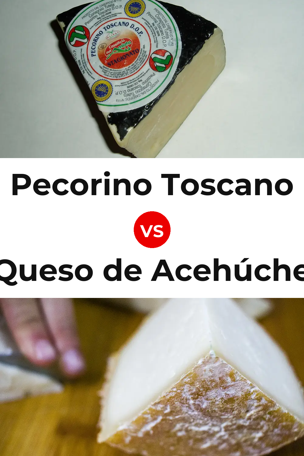 Pecorino Toscano Cheese vs Queso de Acehúche Pinterest comparison