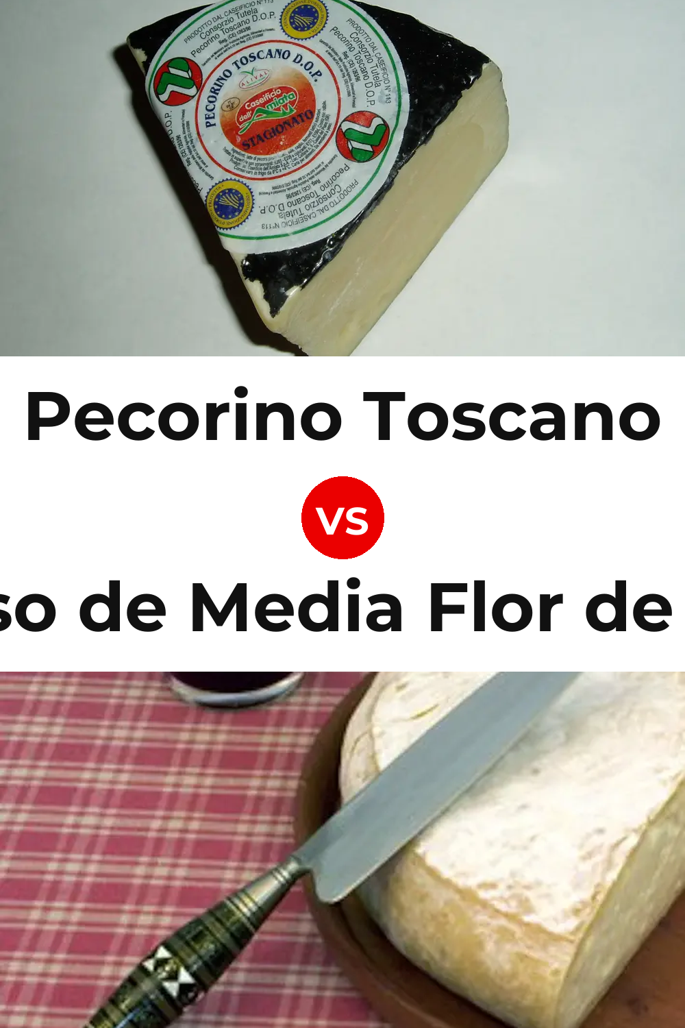 Pecorino Toscano Cheese vs Queso de Media Flor de Guía Pinterest comparison