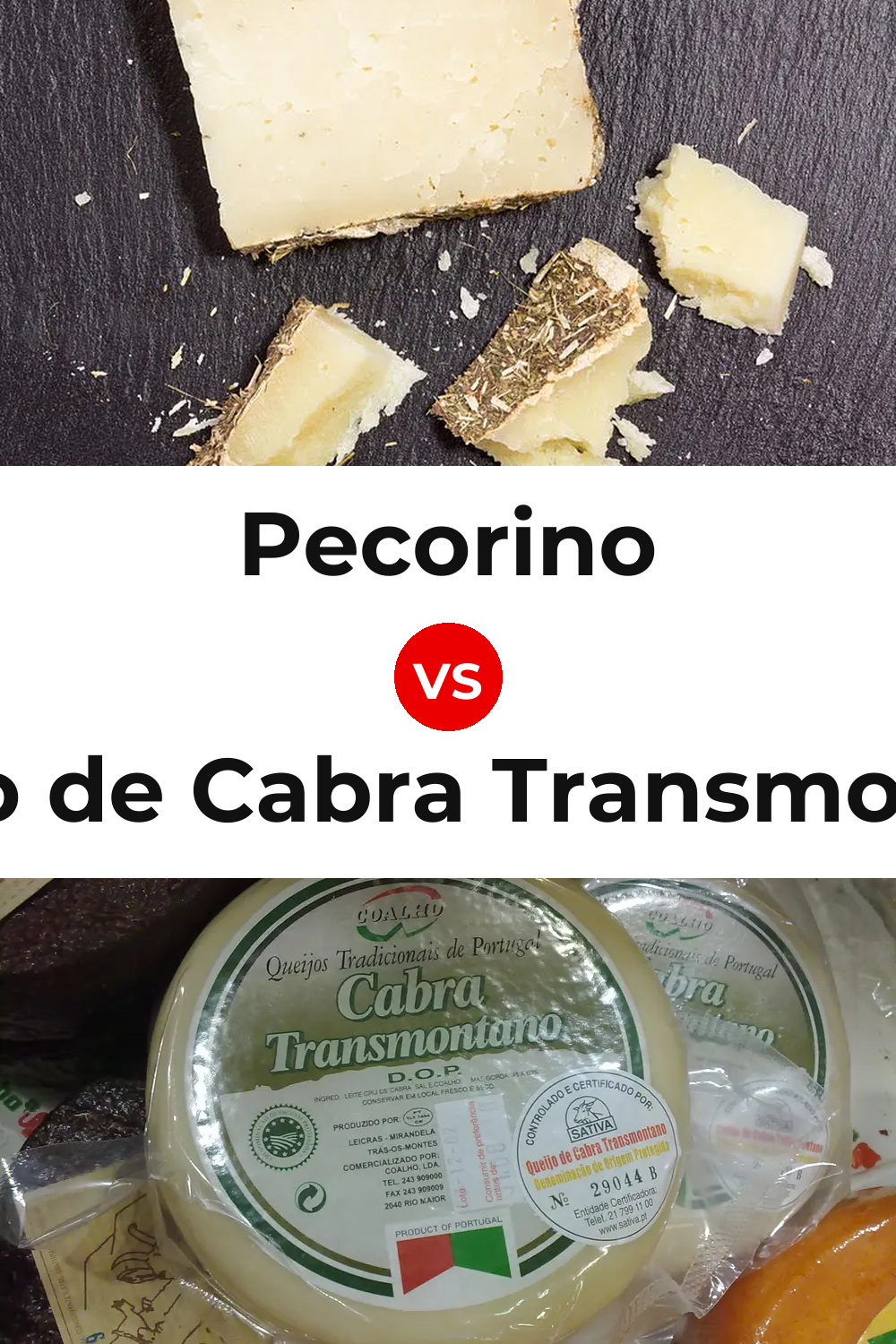 Pecorino Cheese vs Queijo de Cabra Transmontano Pinterest comparison