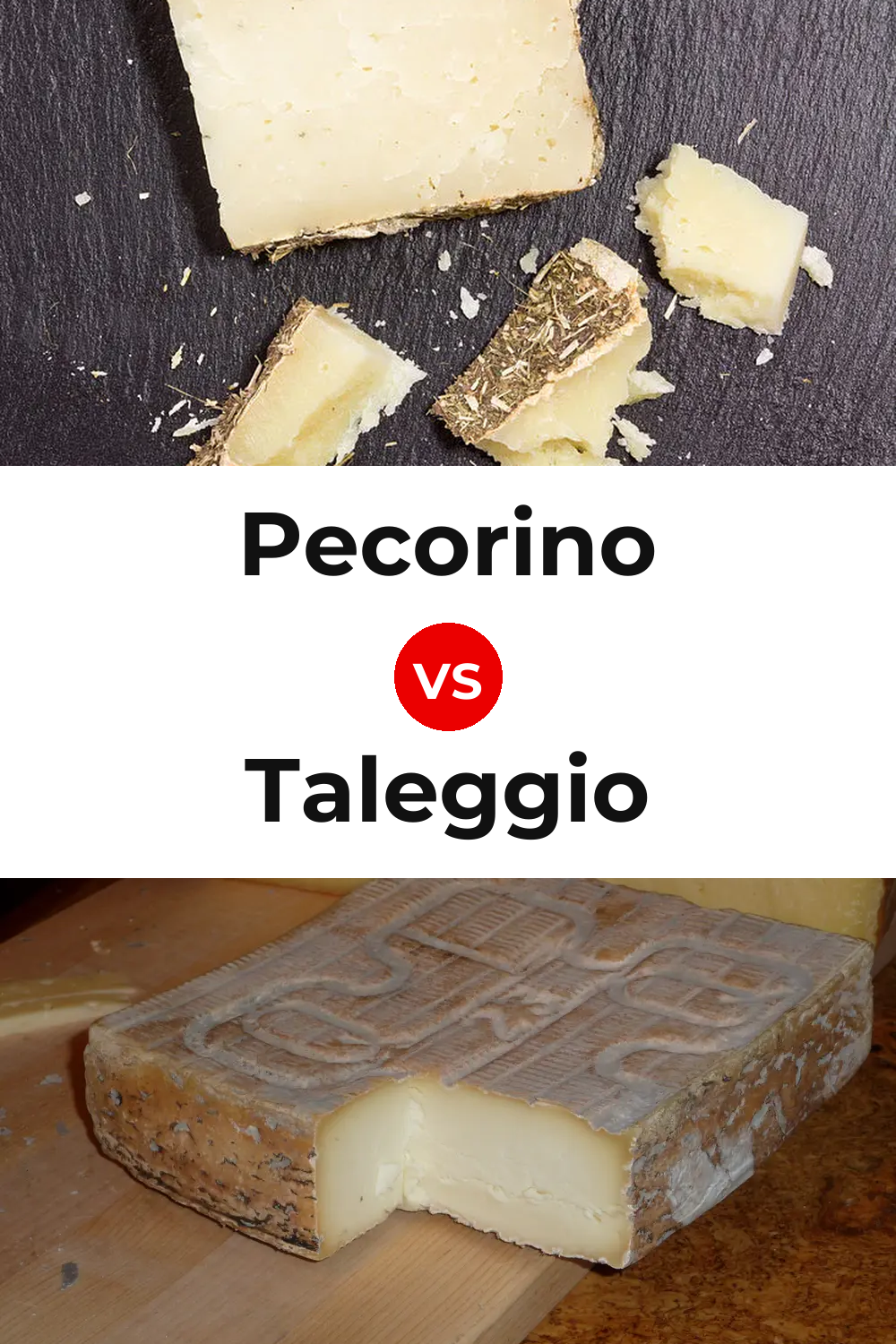 Pecorino Cheese vs Taleggio Cheese Pinterest comparison