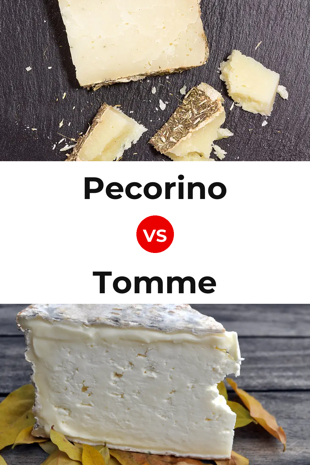 Pecorino Cheese vs Tomme Cheese Pinterest comparison