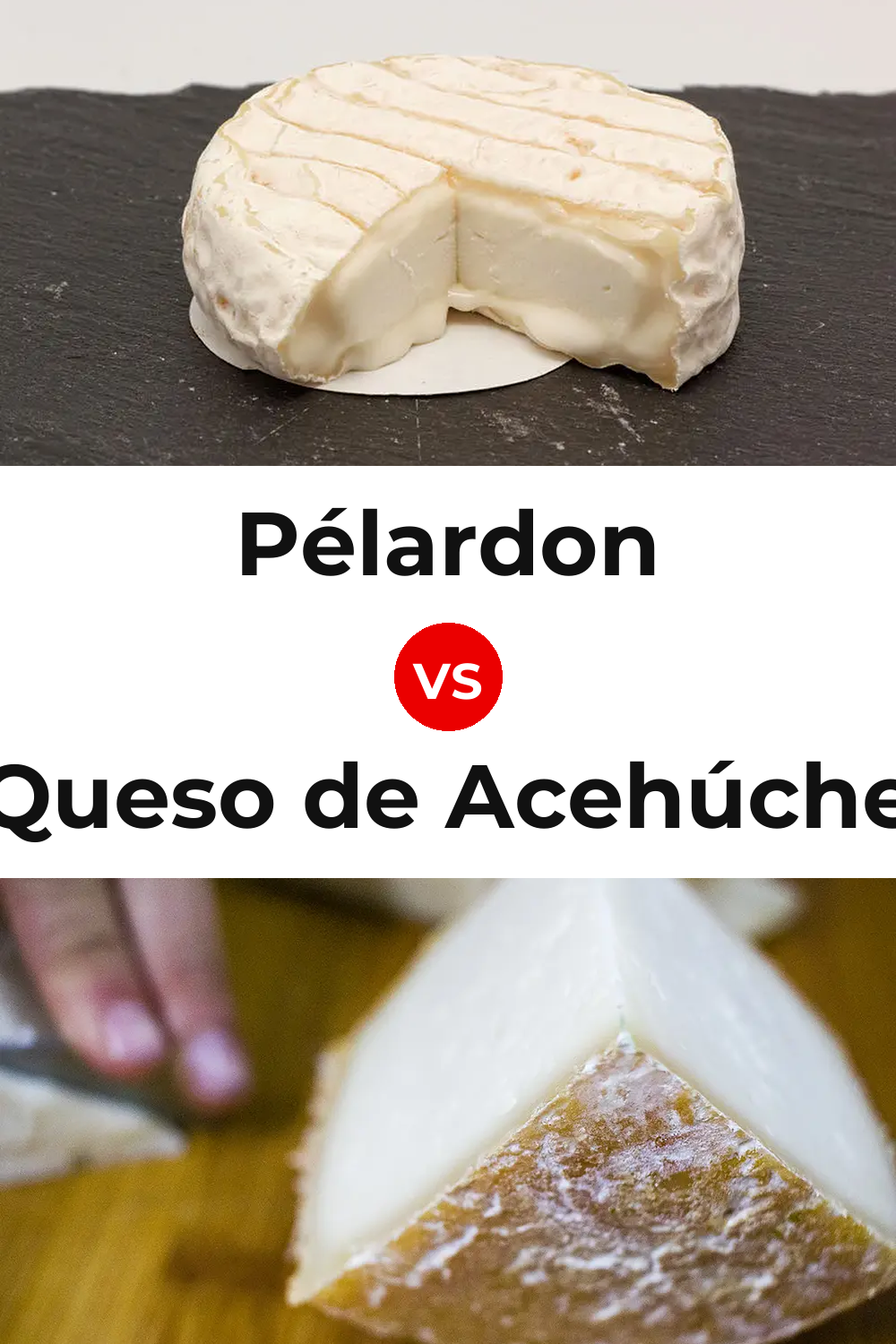 Pélardon Cheese vs Queso de Acehúche Pinterest comparison