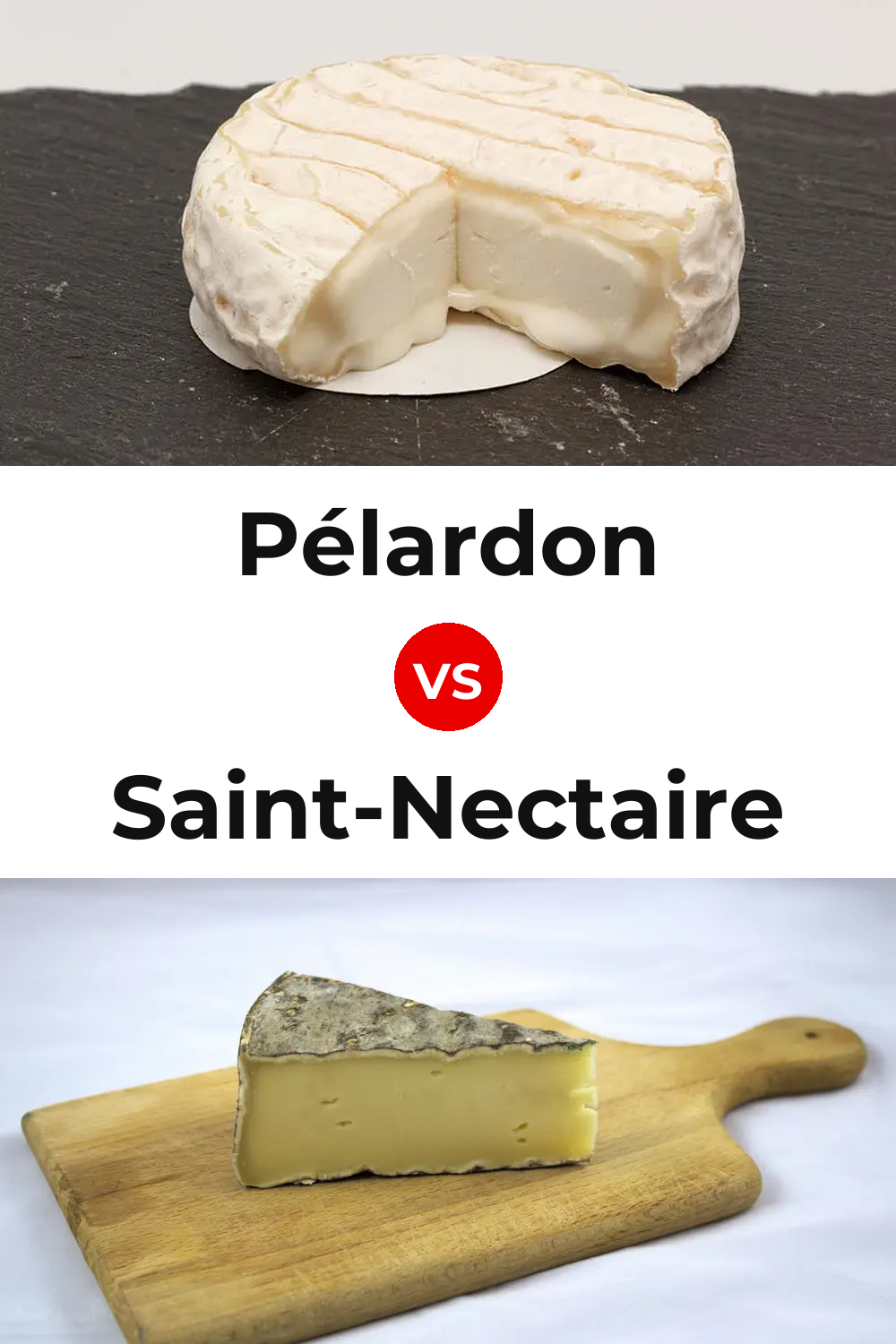 Pélardon Cheese vs Saint-Nectaire Cheese Pinterest comparison