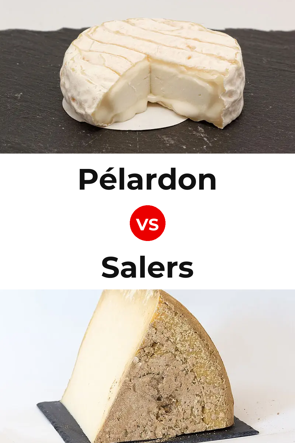 Pélardon Cheese vs Salers Cheese Pinterest comparison