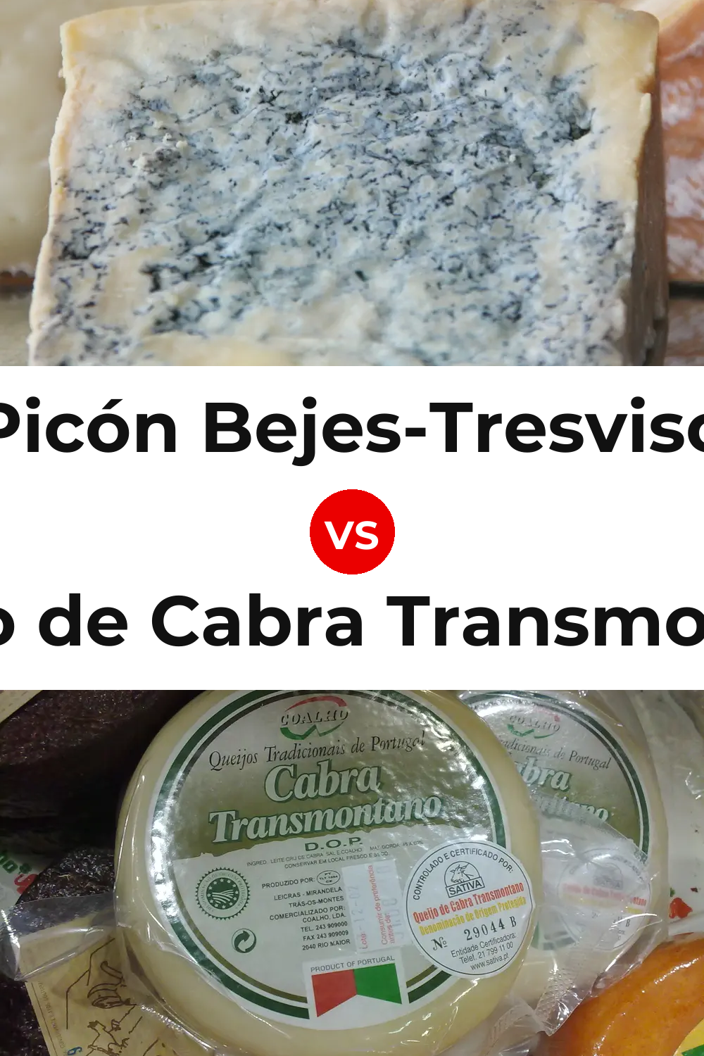 Picón Bejes-Tresviso Cheese vs Queijo de Cabra Transmontano Pinterest comparison
