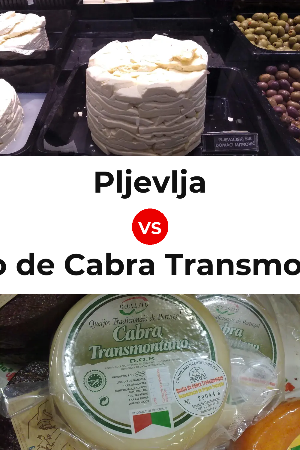 Pljevlja Cheese vs Queijo de Cabra Transmontano Pinterest comparison