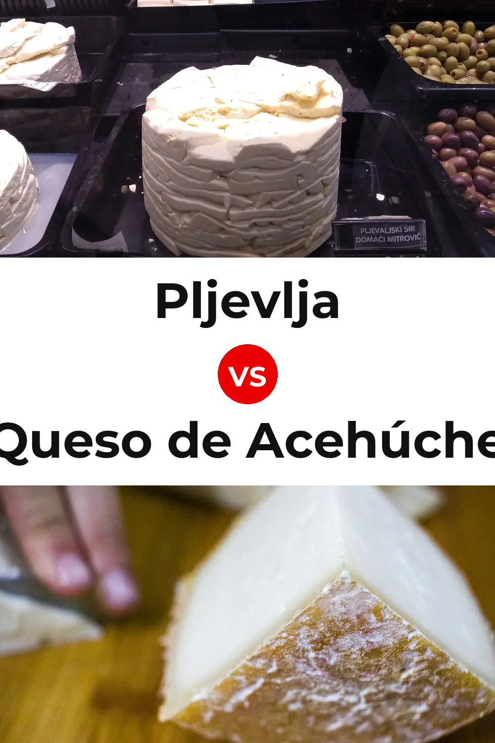 Pljevlja Cheese vs Queso de Acehúche Pinterest comparison
