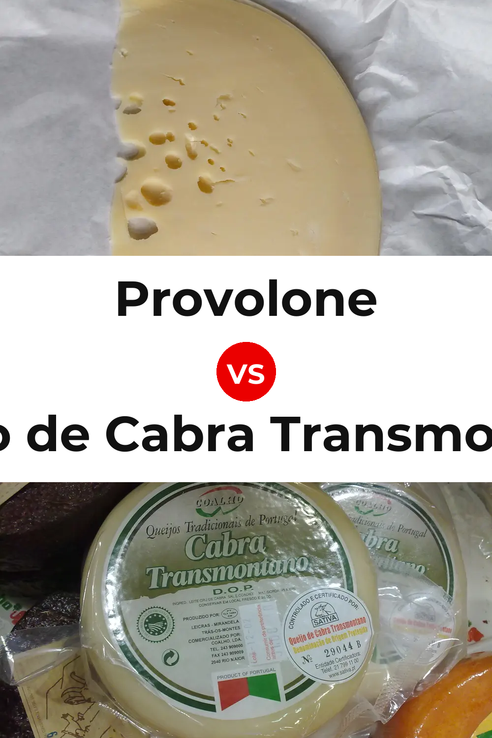 Provolone Cheese vs Queijo de Cabra Transmontano Pinterest comparison