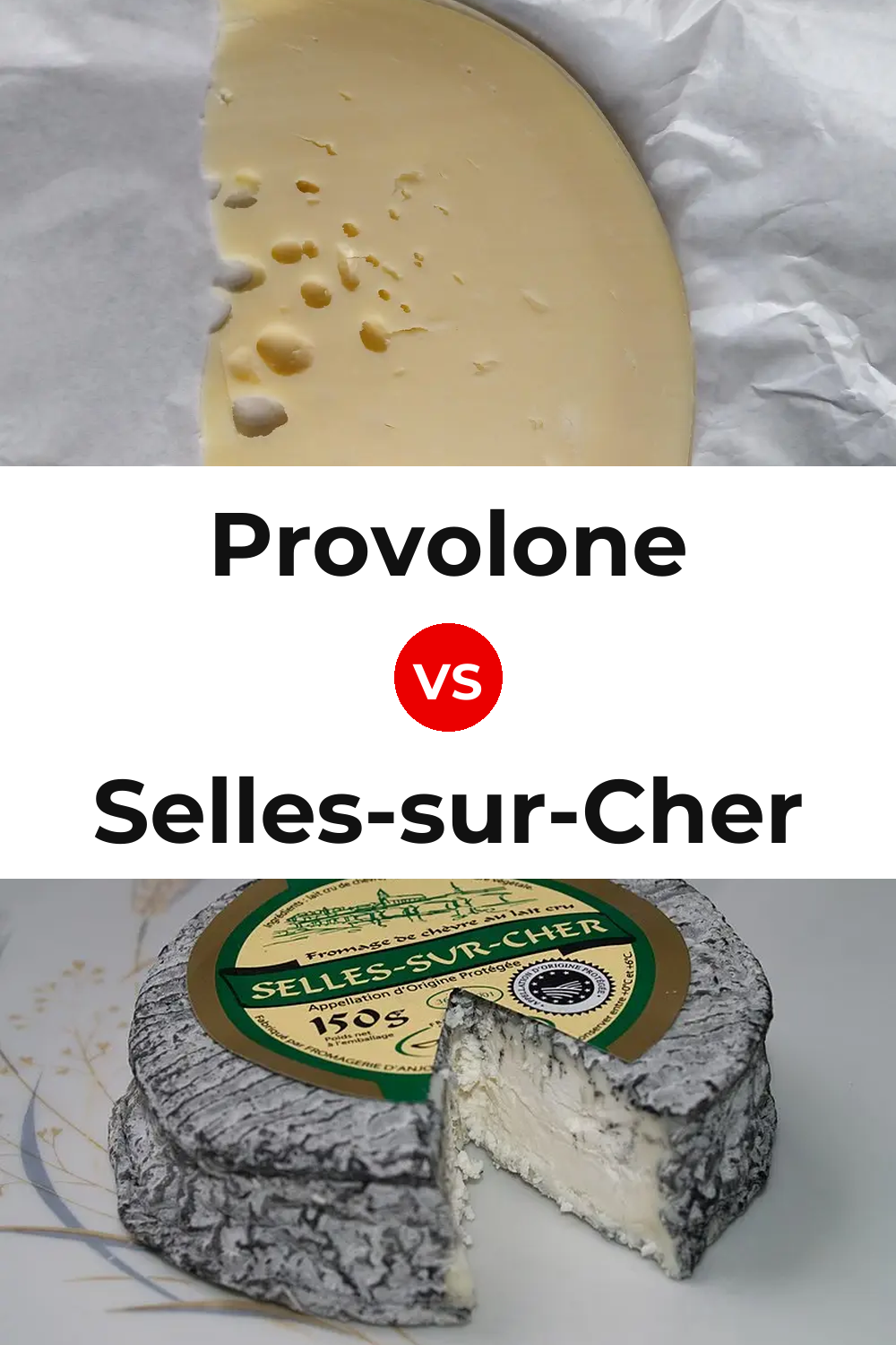 Provolone Cheese vs Selles-sur-Cher Cheese Pinterest comparison