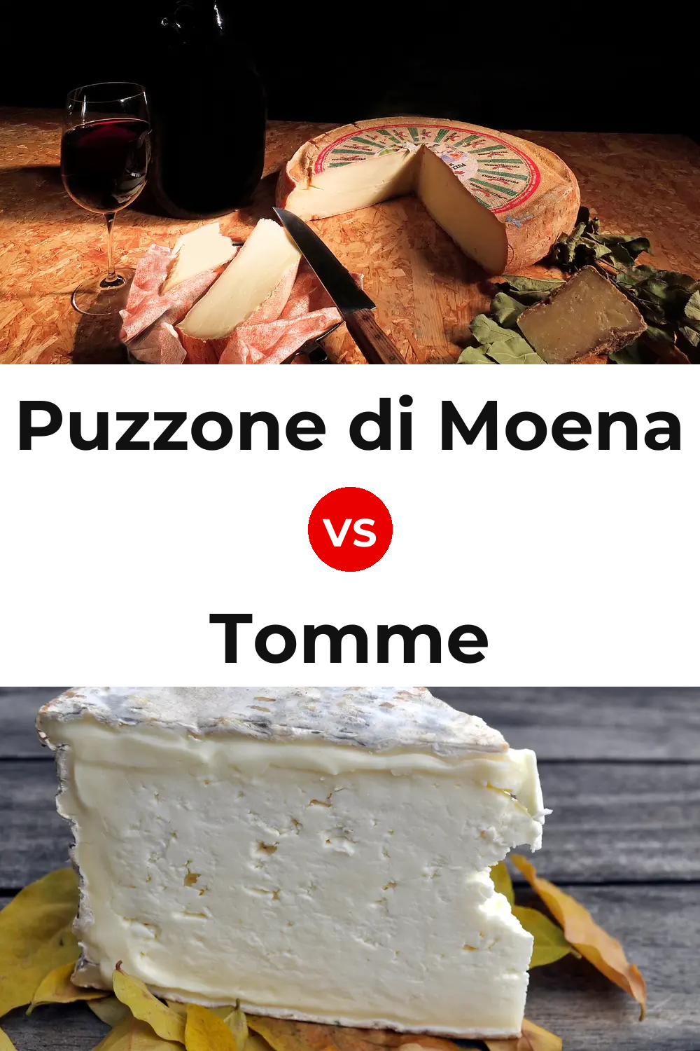 Puzzone di Moena Cheese vs Tomme Cheese Pinterest comparison