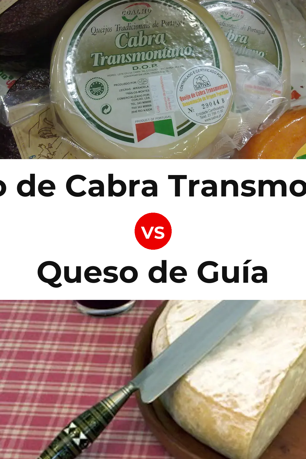 Queijo de Cabra Transmontano vs Queso de Guía Pinterest comparison