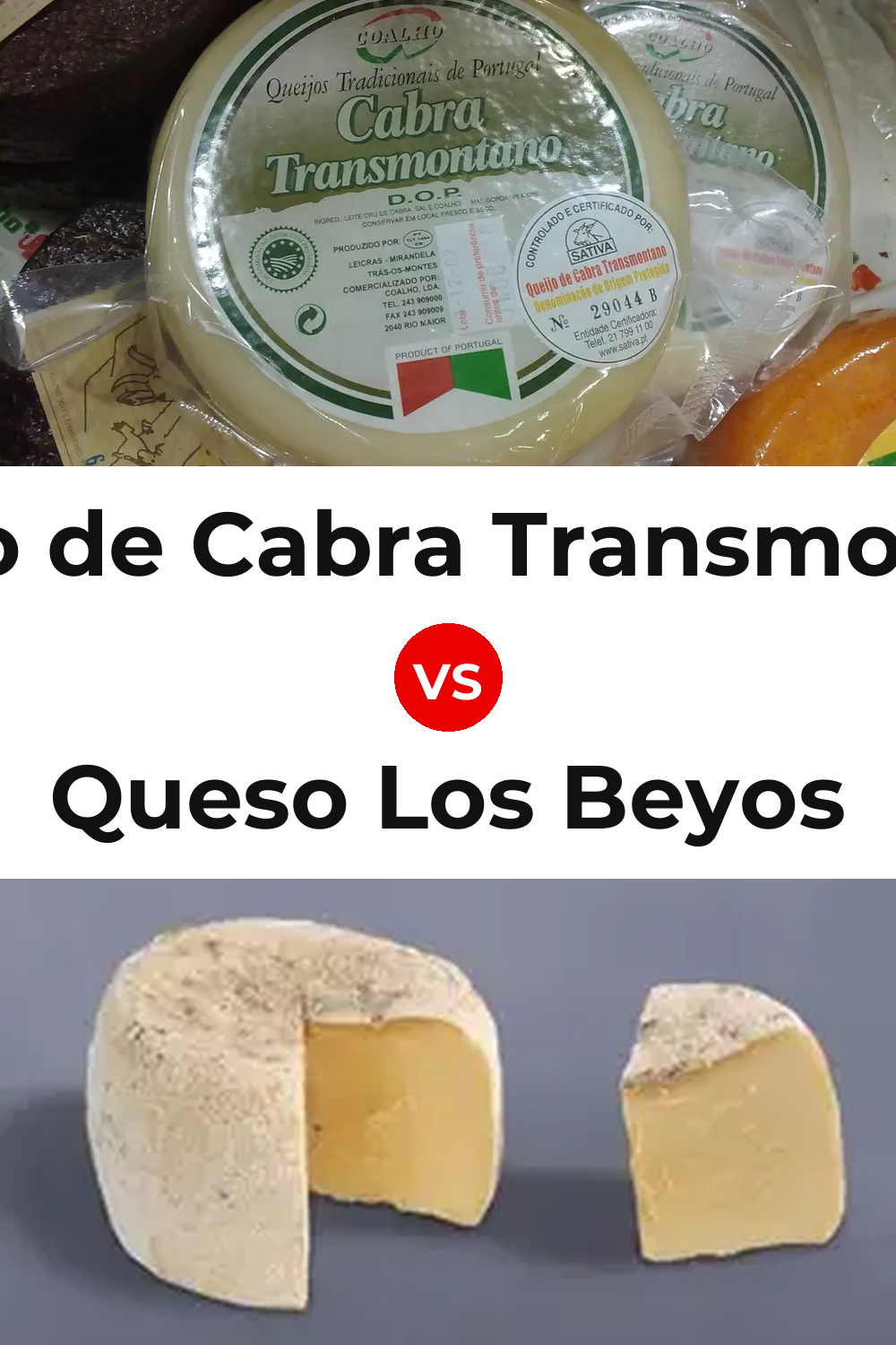 Queijo de Cabra Transmontano vs Queso Los Beyos Pinterest comparison