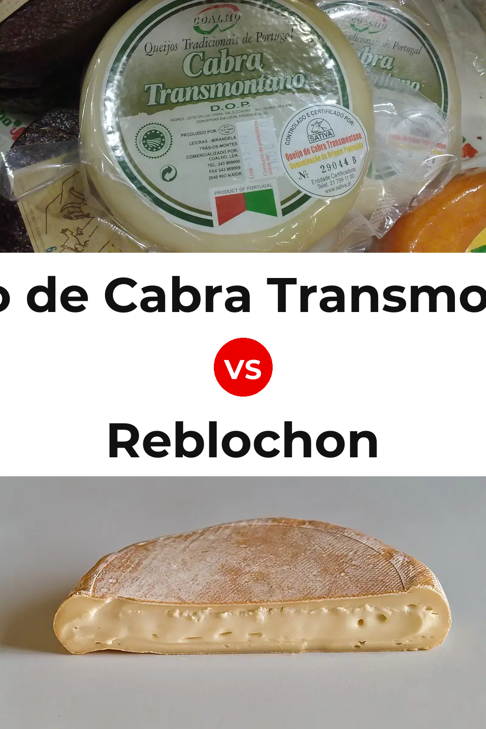 Queijo de Cabra Transmontano vs Reblochon Cheese Pinterest comparison