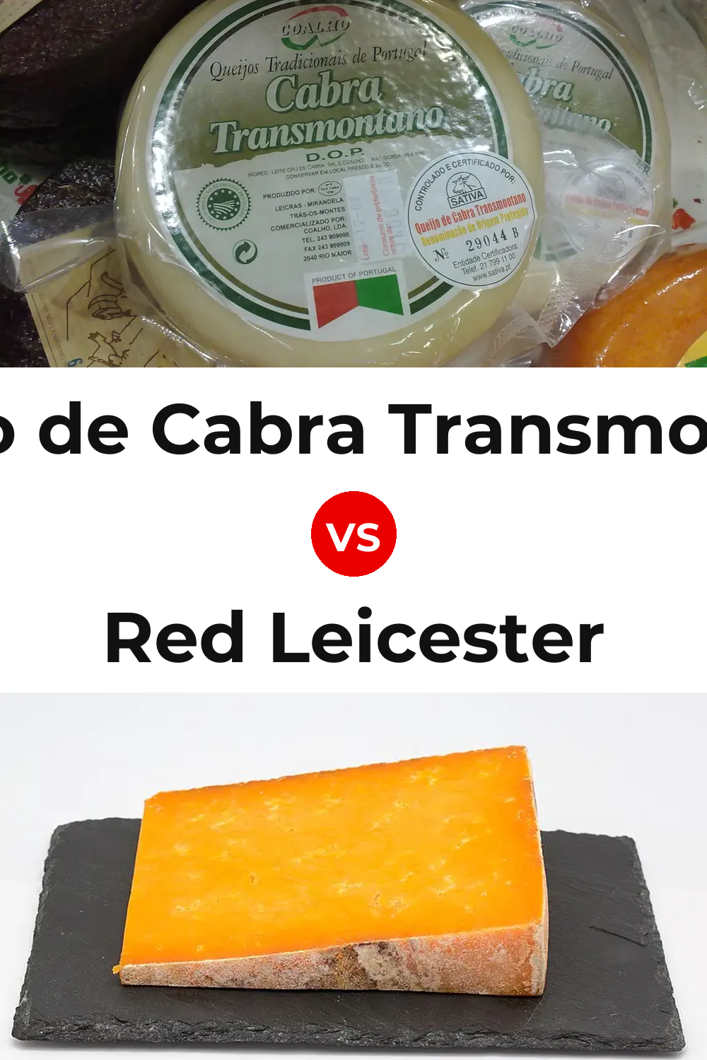 Queijo de Cabra Transmontano vs Red Leicester Cheese Pinterest comparison