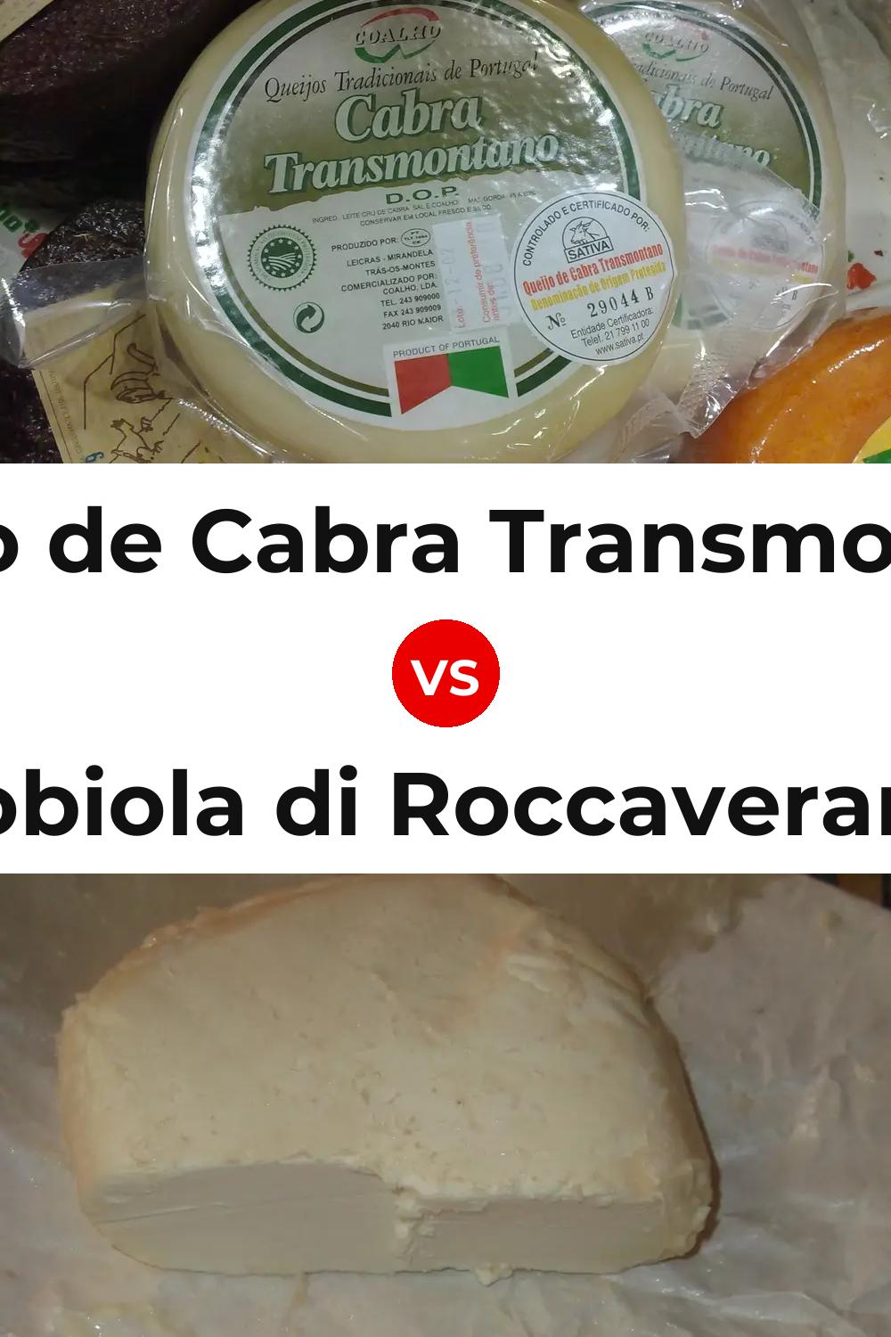 Queijo de Cabra Transmontano vs Robiola di Roccaverano Cheese Pinterest comparison
