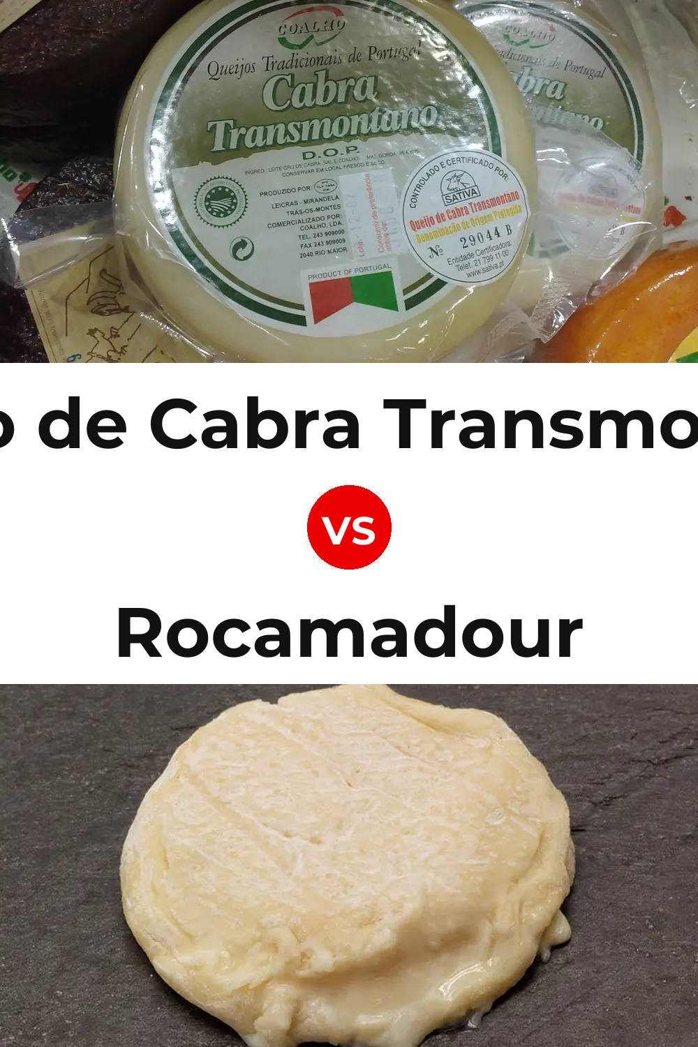 Queijo de Cabra Transmontano vs Rocamadour Cheese Pinterest comparison