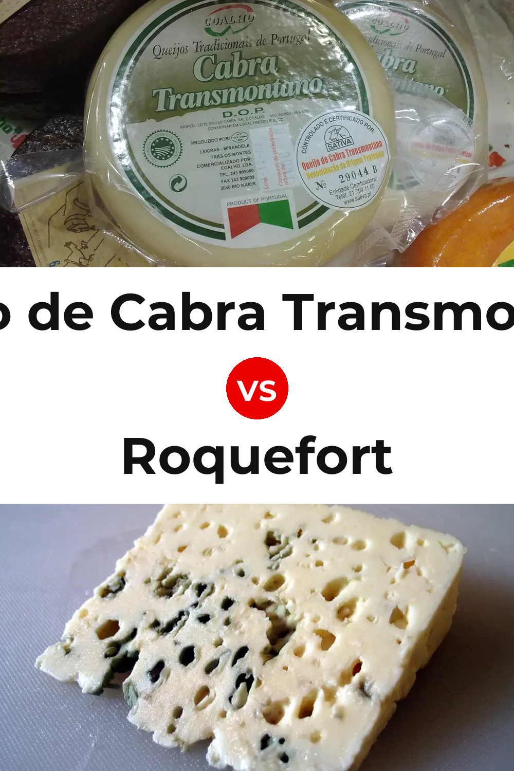 Queijo de Cabra Transmontano vs Roquefort Cheese Pinterest comparison