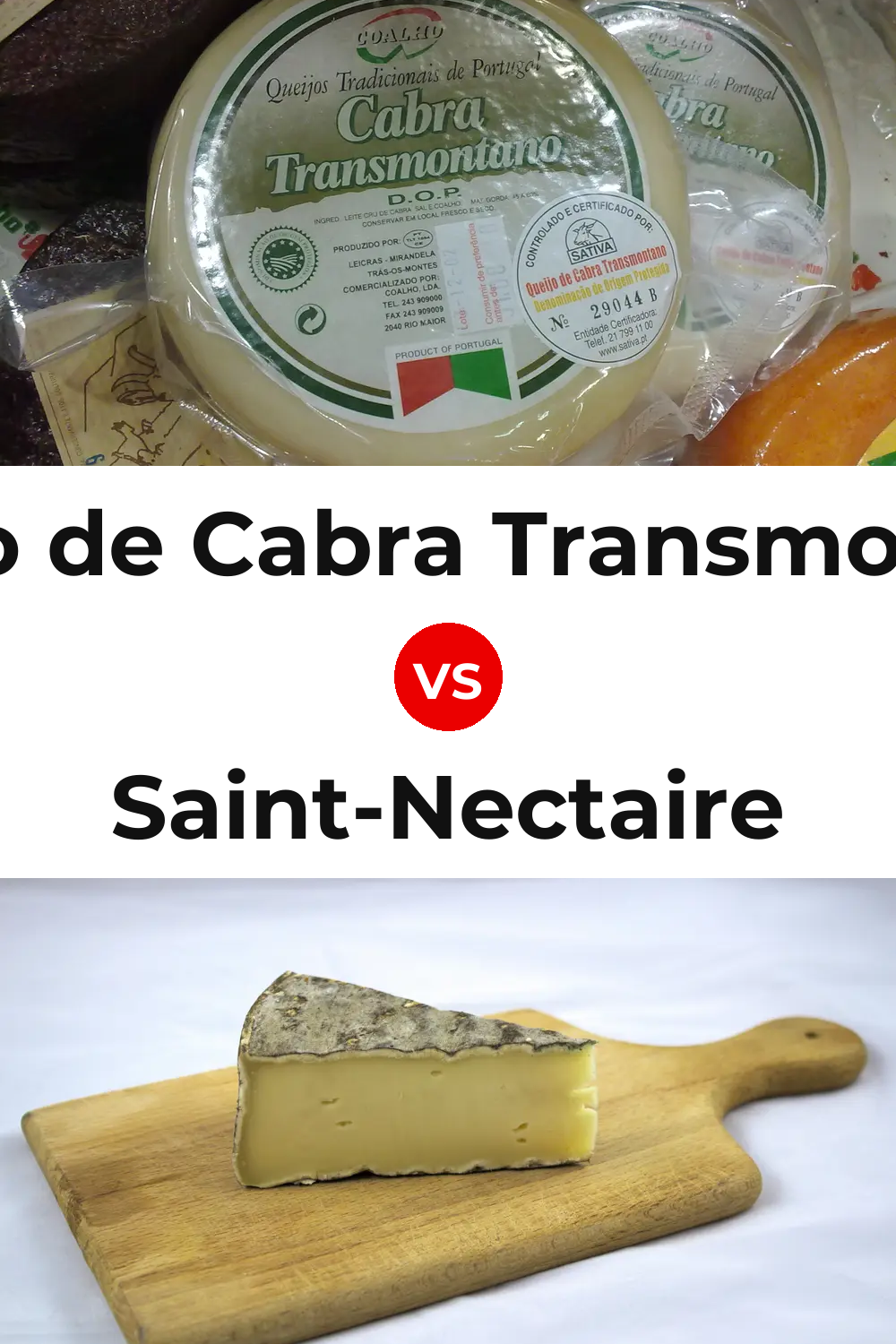 Queijo de Cabra Transmontano vs Saint-Nectaire Cheese Pinterest comparison