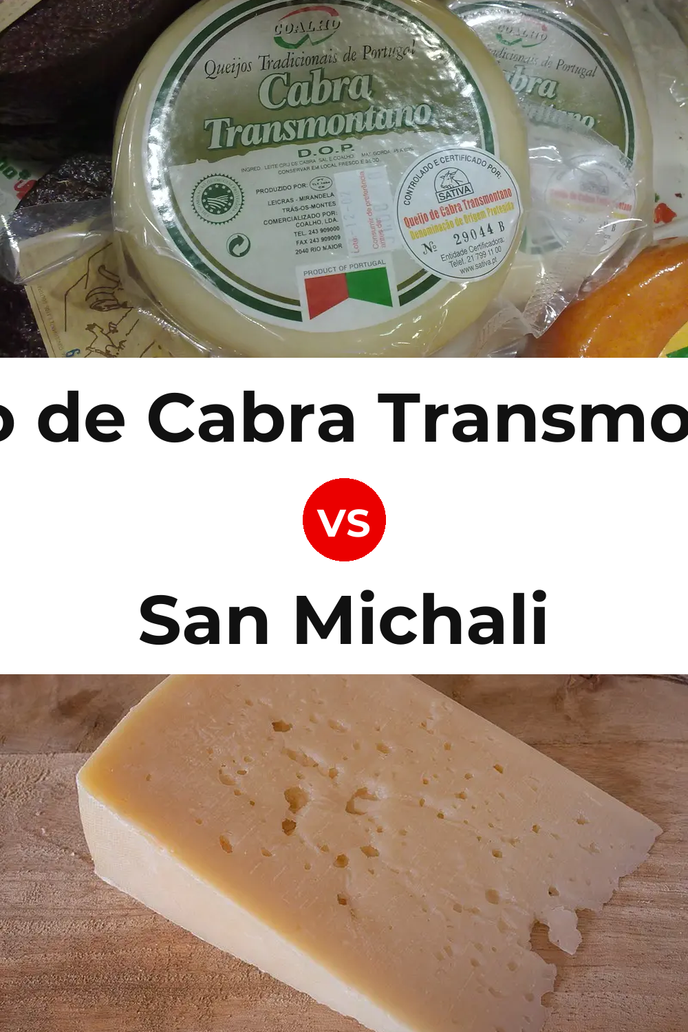 Queijo de Cabra Transmontano vs San Michali Cheese Pinterest comparison