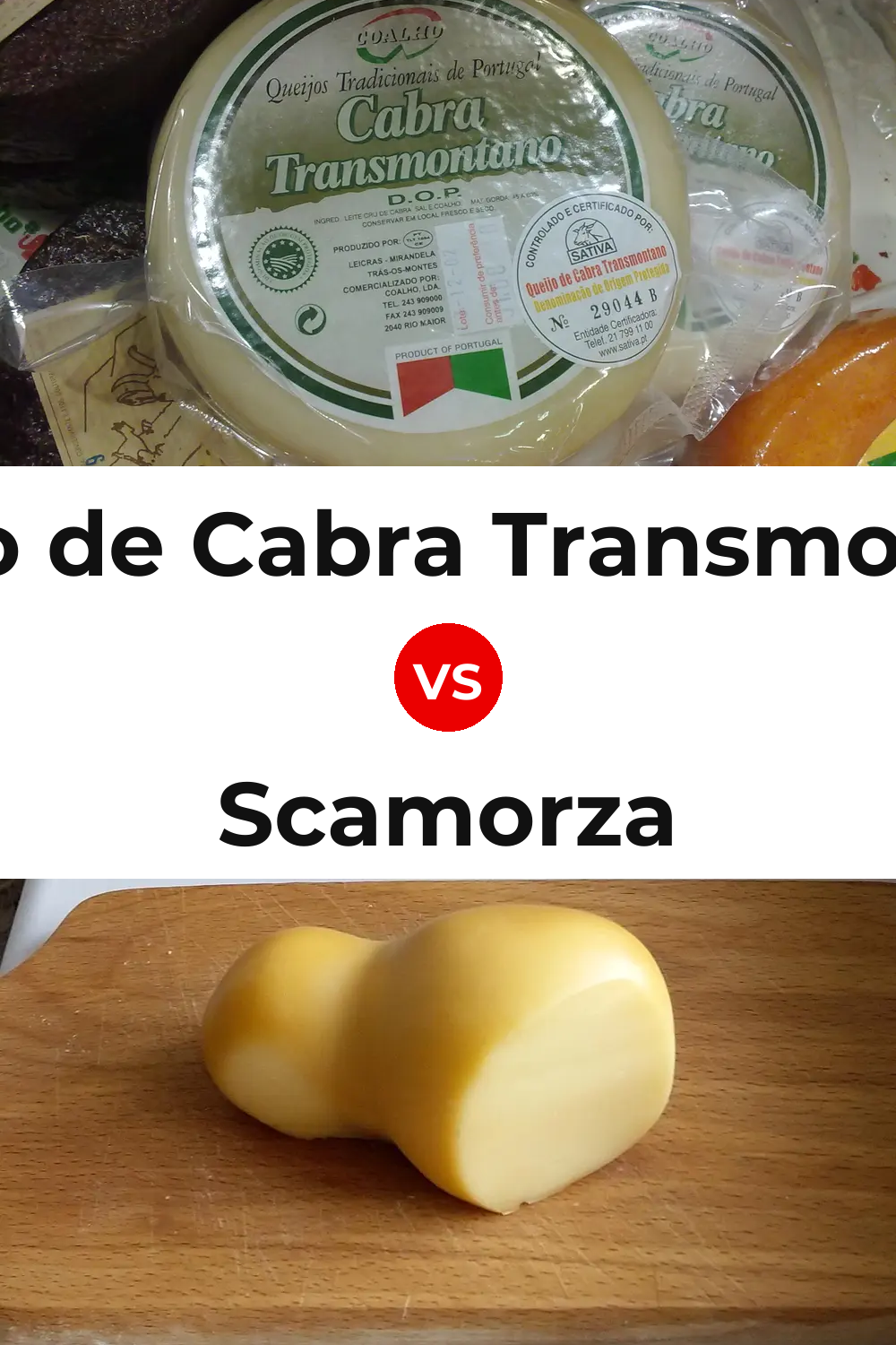 Queijo de Cabra Transmontano vs Scamorza Cheese Pinterest comparison