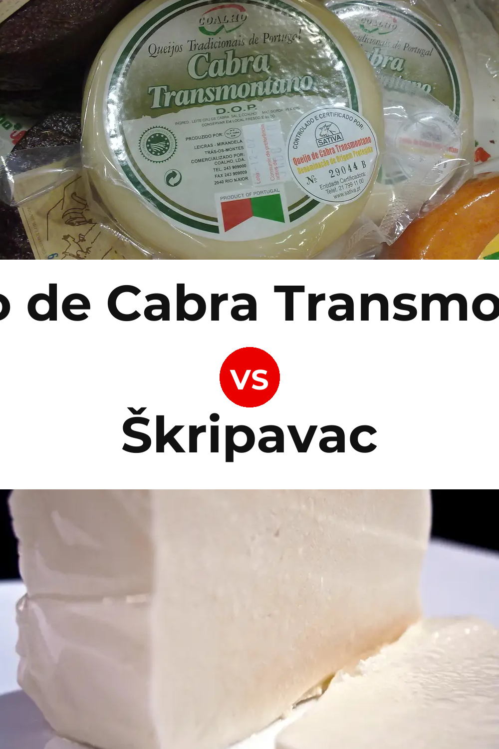 Queijo de Cabra Transmontano vs Škripavac Cheese Pinterest comparison